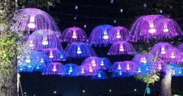 lampa LED jak meduza
