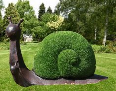 duży ślimak w ogrodzie